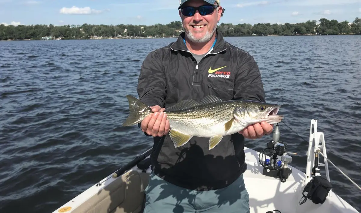 Tipos de Pesca para Iniciantes e a Vara Ideal