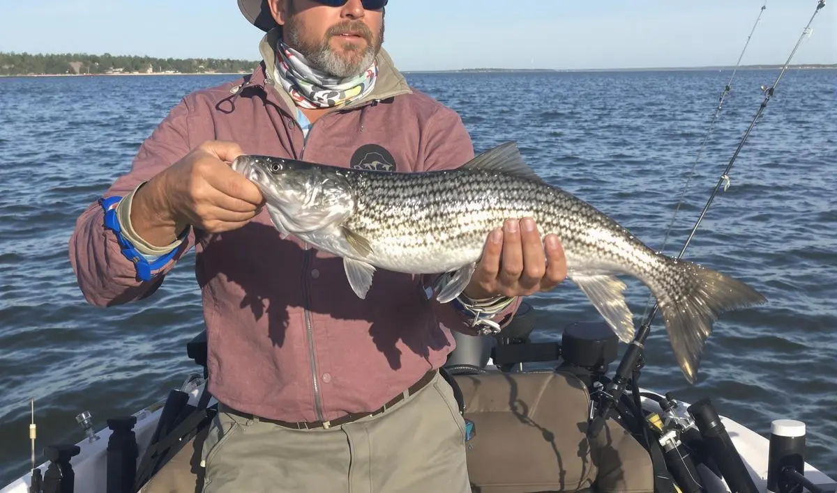 Tipos de Vara para Arremessos Longos