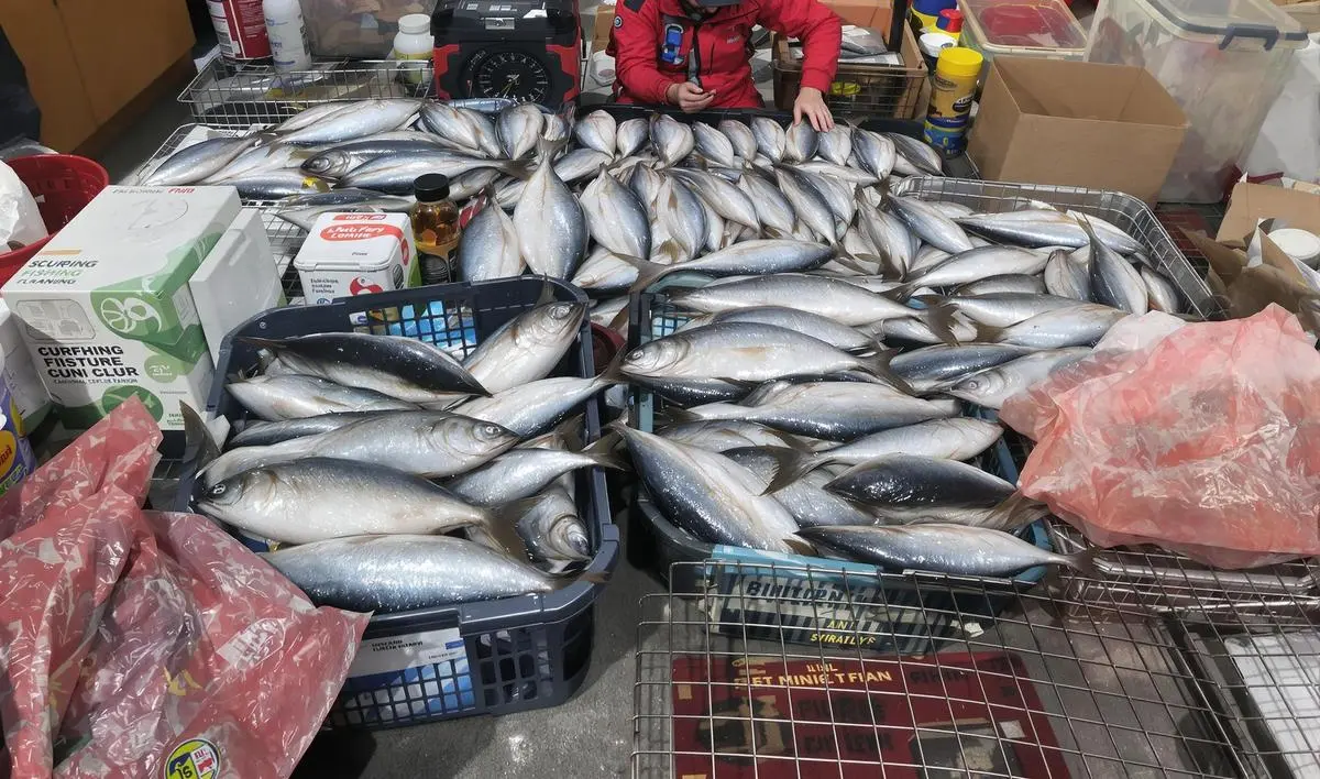Transporte e Armazenamento dos Peixes